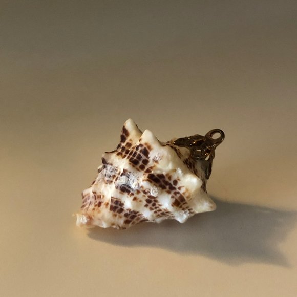 Seashell Pendant with Gold Fascinator for Necklace - Picture 6 of 6